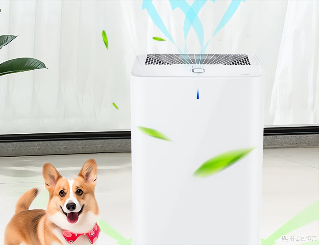 除甲醛的空气净化器哪个牌子好?锁定10大净化品牌,少花冤枉钱