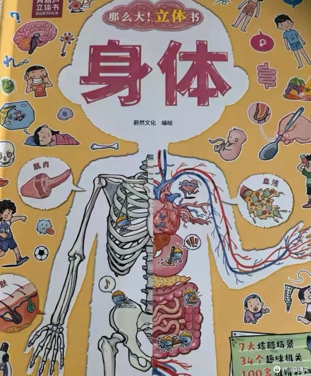 《我们的身体》：互动立体科普书