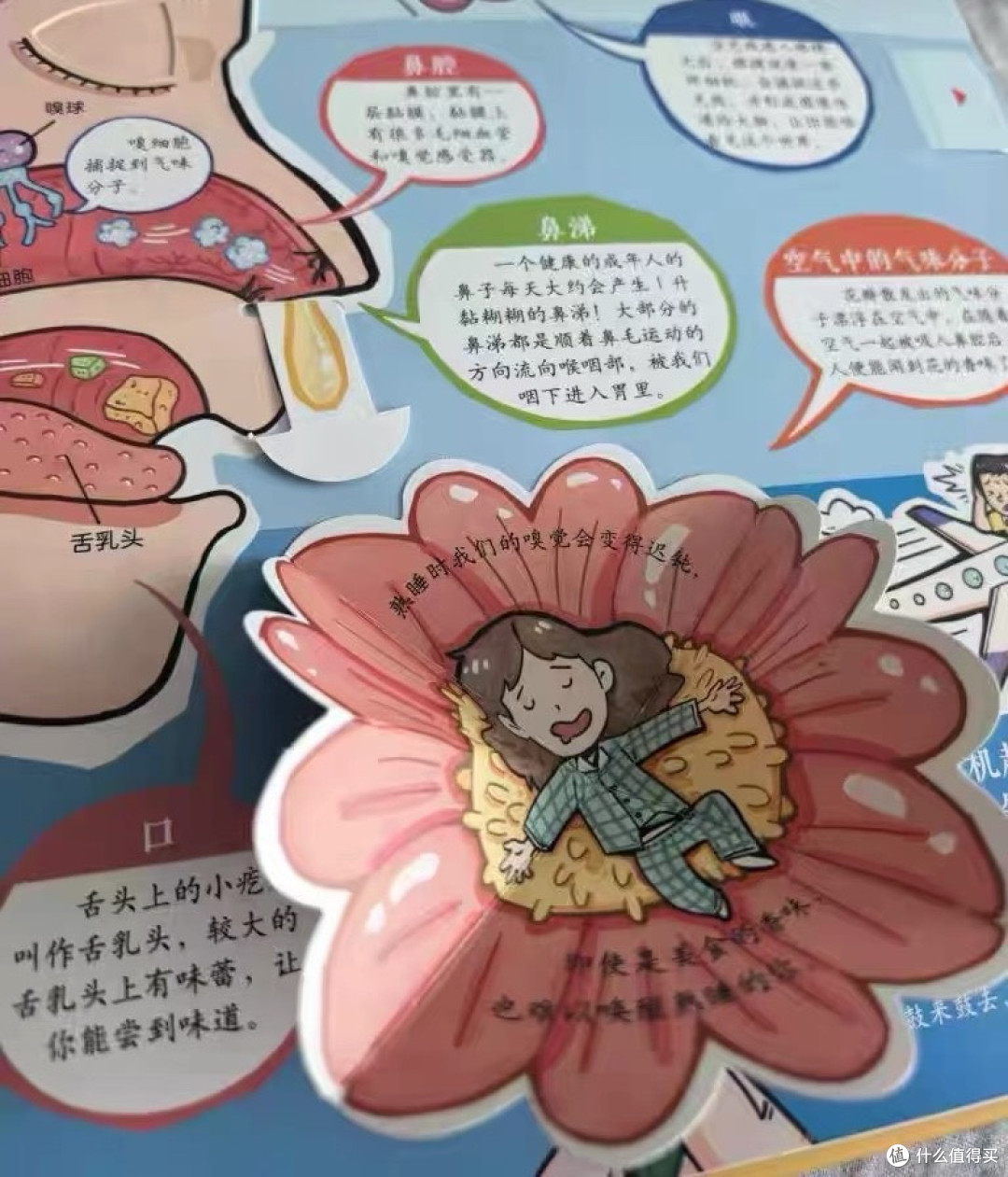 《我们的身体》：互动立体科普书