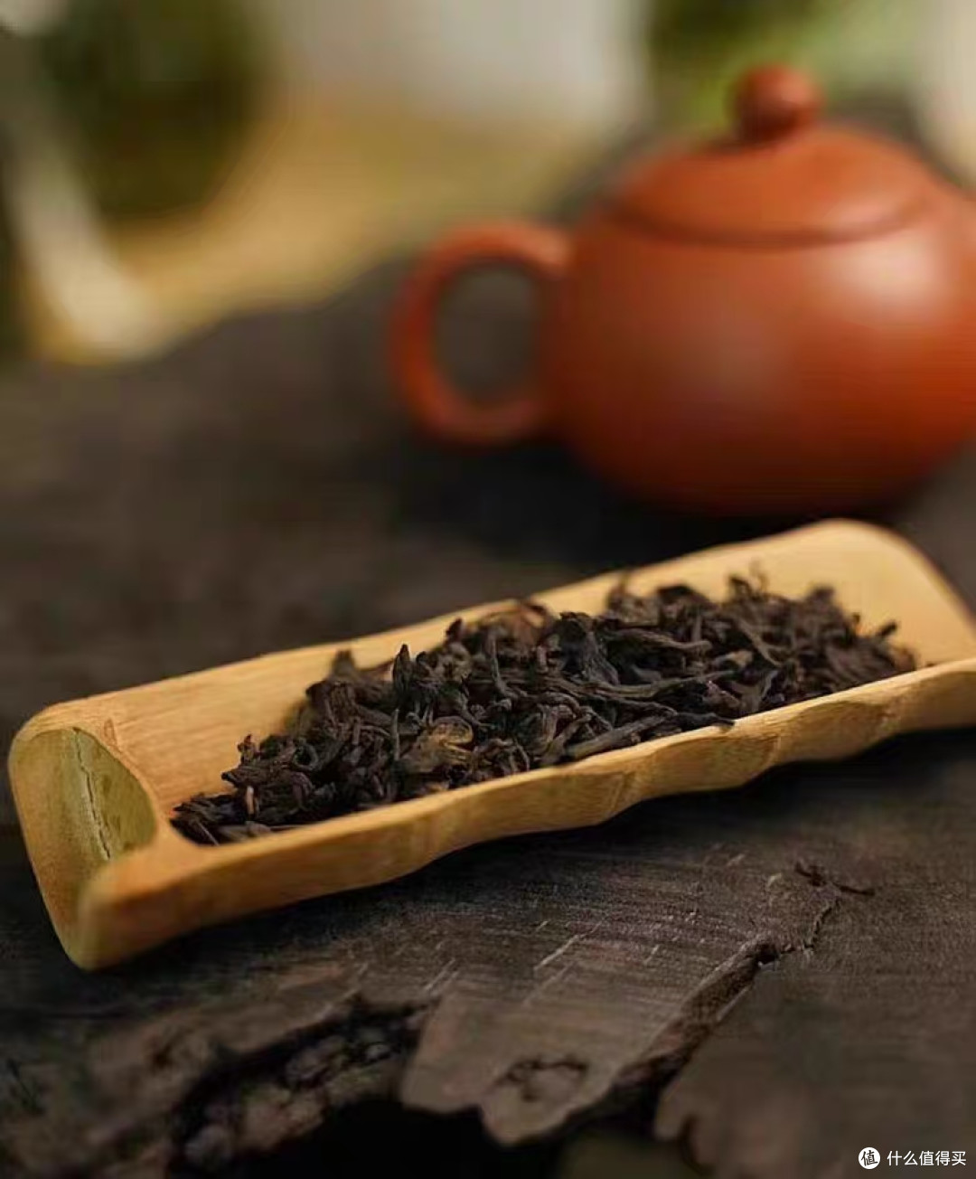 13 年陈六堡茶｜一杯喝懂时光，自饮口粮天花板