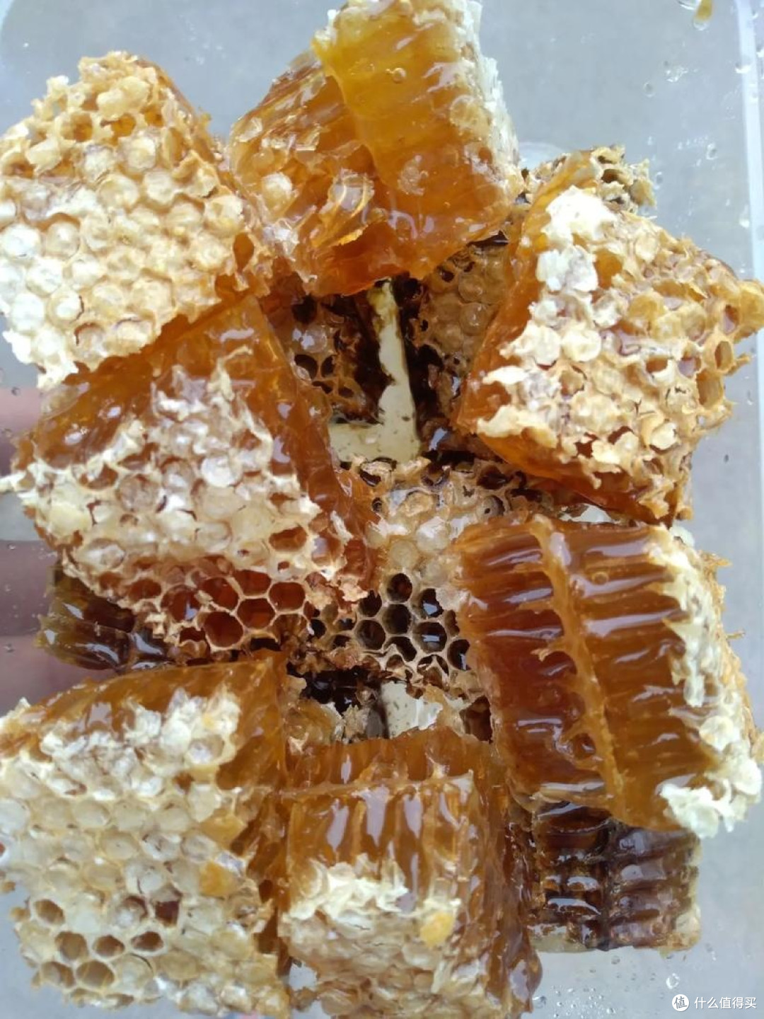 蜂蜜怎么挑？看标签是关键！