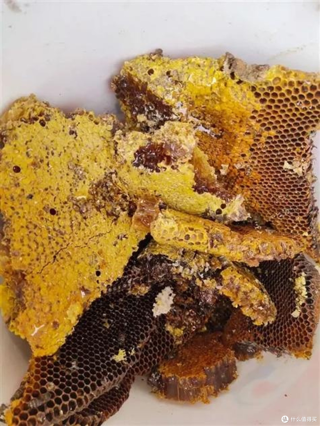 蜂蜜怎么挑？看标签是关键！