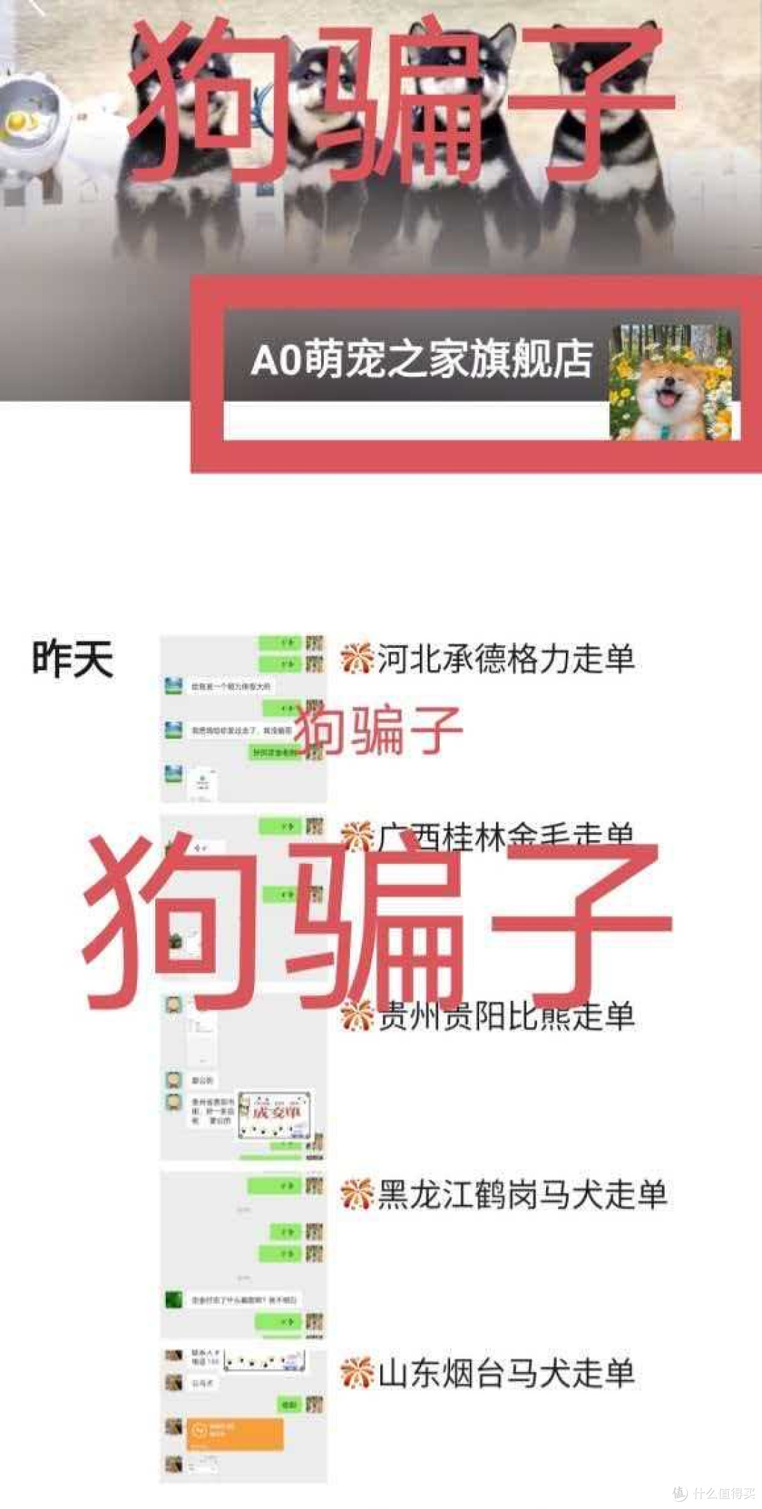 网购活体宠物避坑指南:这些套路你要懂