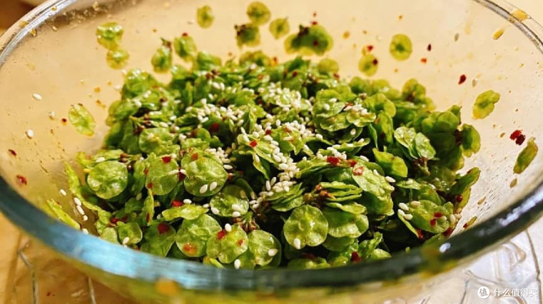 春天唯一无草酸蔬菜,高钙高钾,鲜嫩期短错过等一年