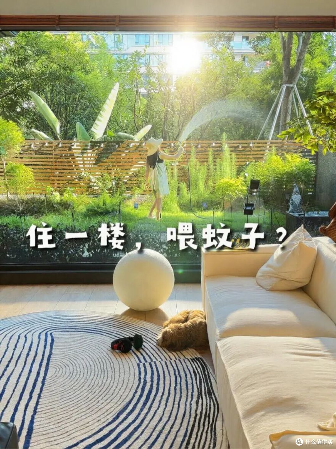 买了“一楼带小院”的房子,幻想:神仙日子,入住后:后悔莫及!