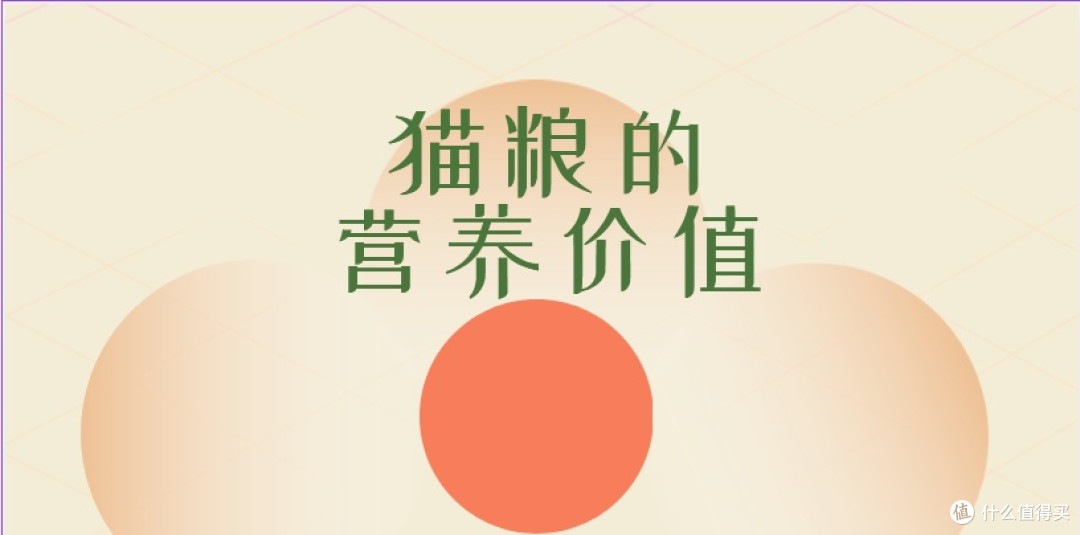 一篇看懂新手如何避开毒猫粮?盘点评测十大放心猫粮品牌