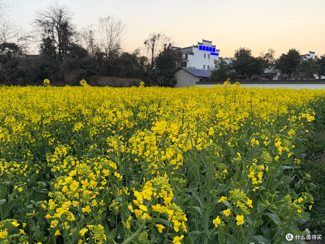 桃花潭畔寻李白诗韵,穿行查济徽派古村黛瓦间,不负人间三月天