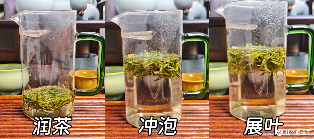 【绿茶】26年的第一口春，阳际峰头芽测评（260328）
