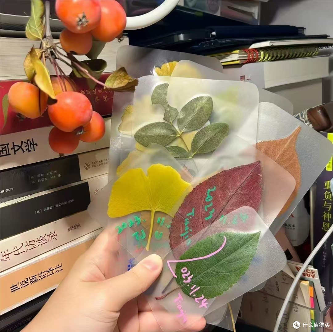 手工党封神!一张膜搞定照片 / 标本 / 书签,万物皆可封✨