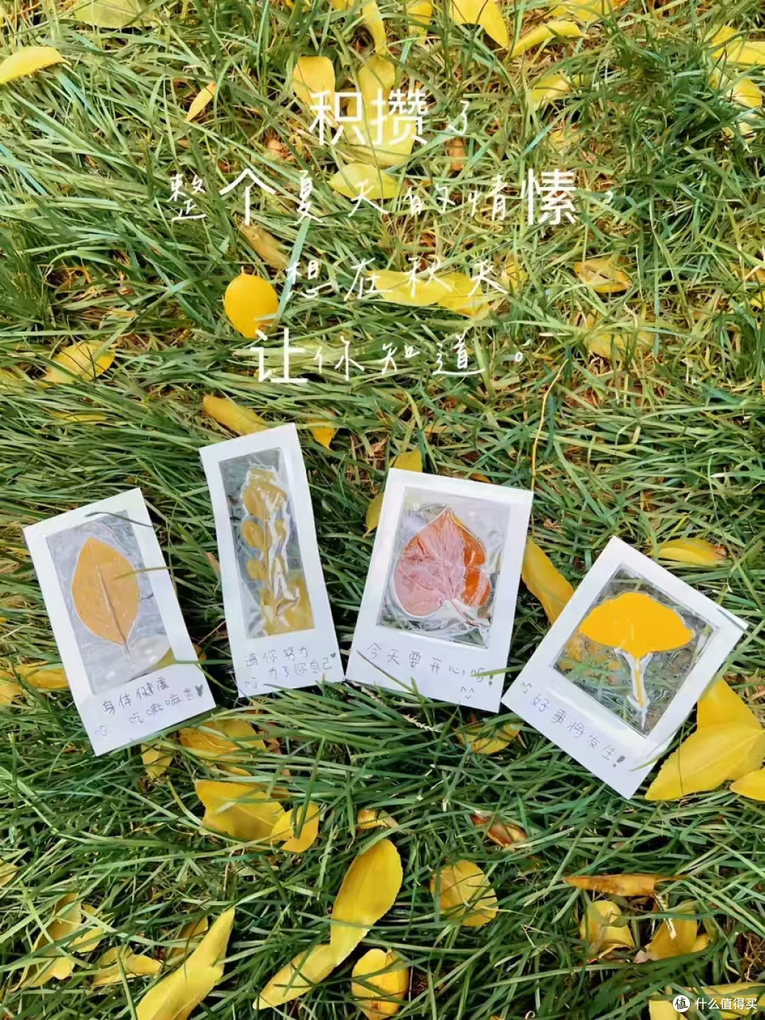 手工党封神!一张膜搞定照片 / 标本 / 书签,万物皆可封✨