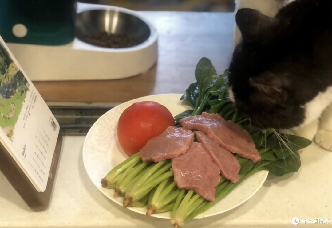抓住春天的尾巴|香椿煎蛋、菠菜猪肝汤,加一杯龙井青团,完美!