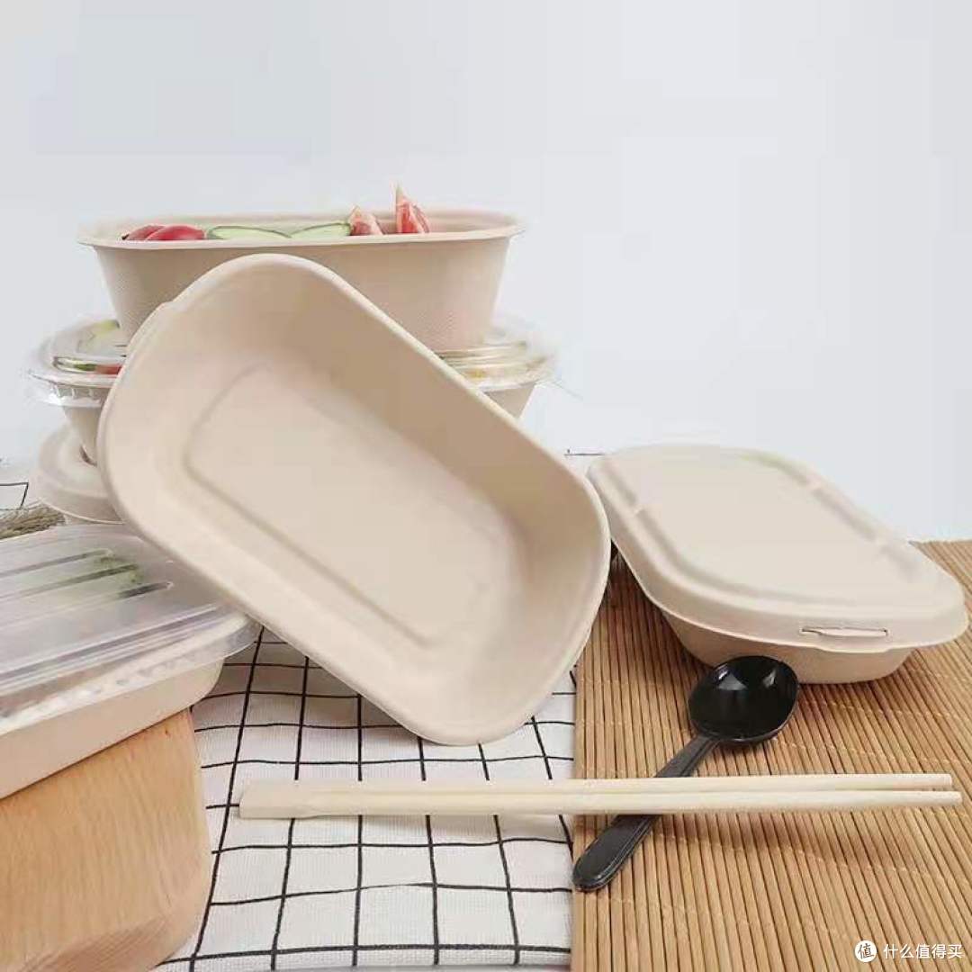 纸浆餐具生产线：食品级标准+节能20%，转型党闭眼冲