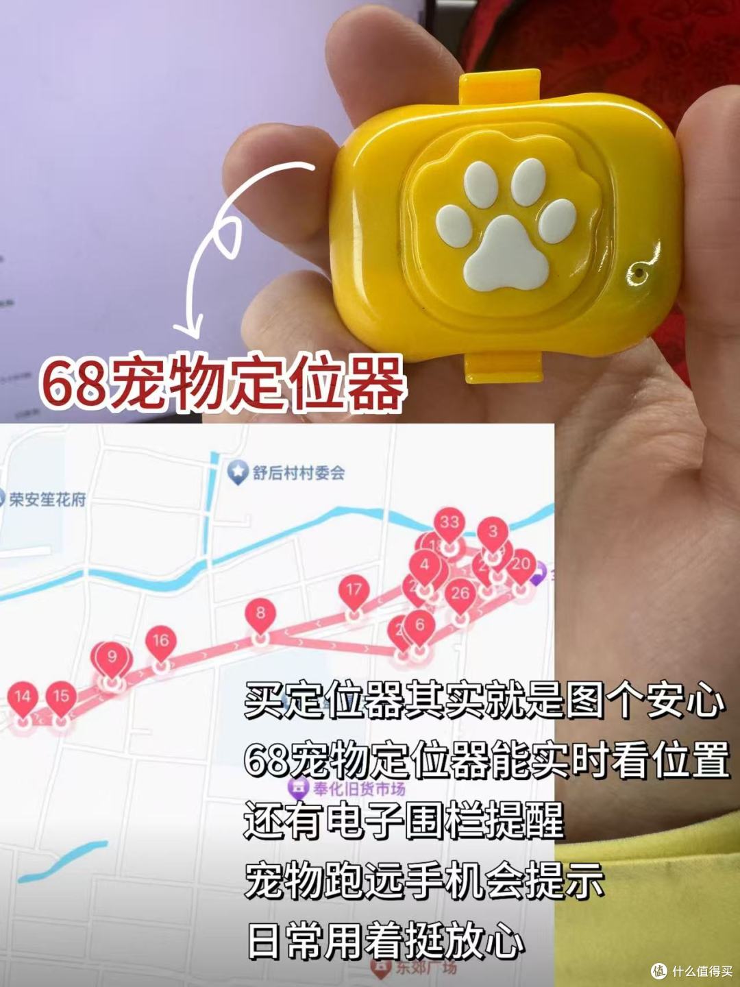 别被坑!先看这篇宠物定位器测评
