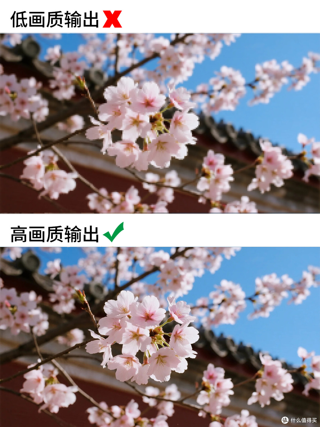 视频模糊怎么变清晰?6种技巧轻松提升视频画质