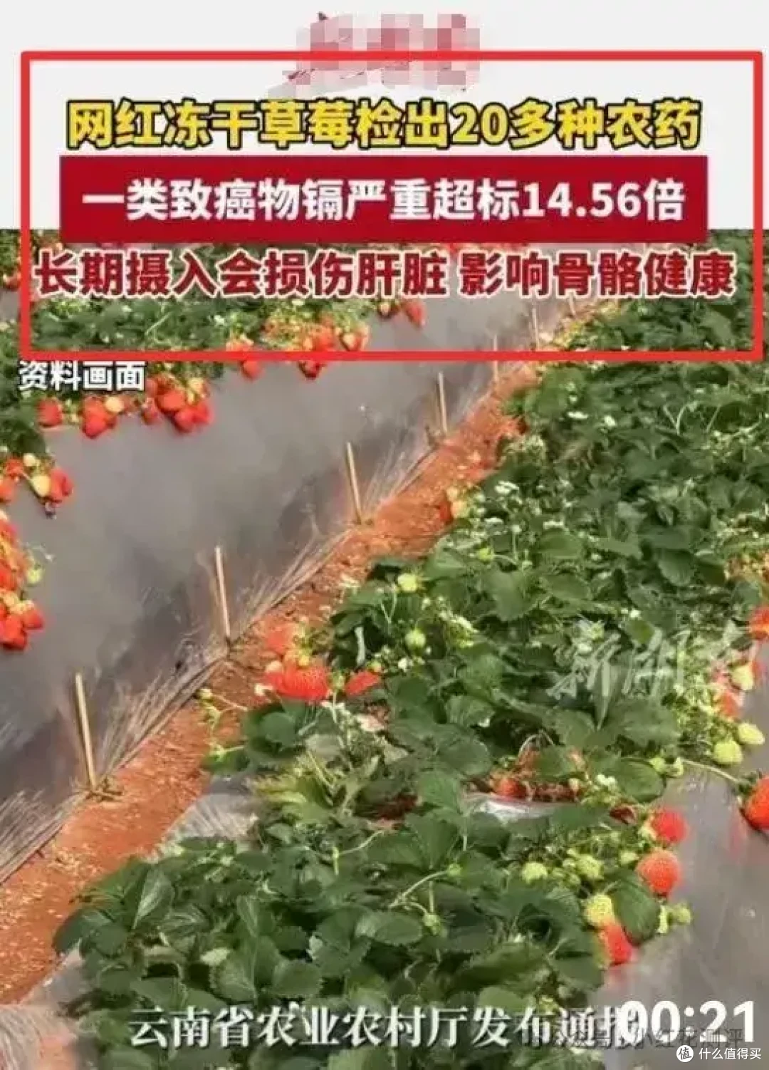 一级致癌物超标14倍？是谣言！市监总局回应，影响挽回了吗？