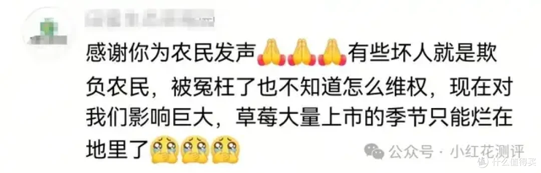 一级致癌物超标14倍？是谣言！市监总局回应，影响挽回了吗？