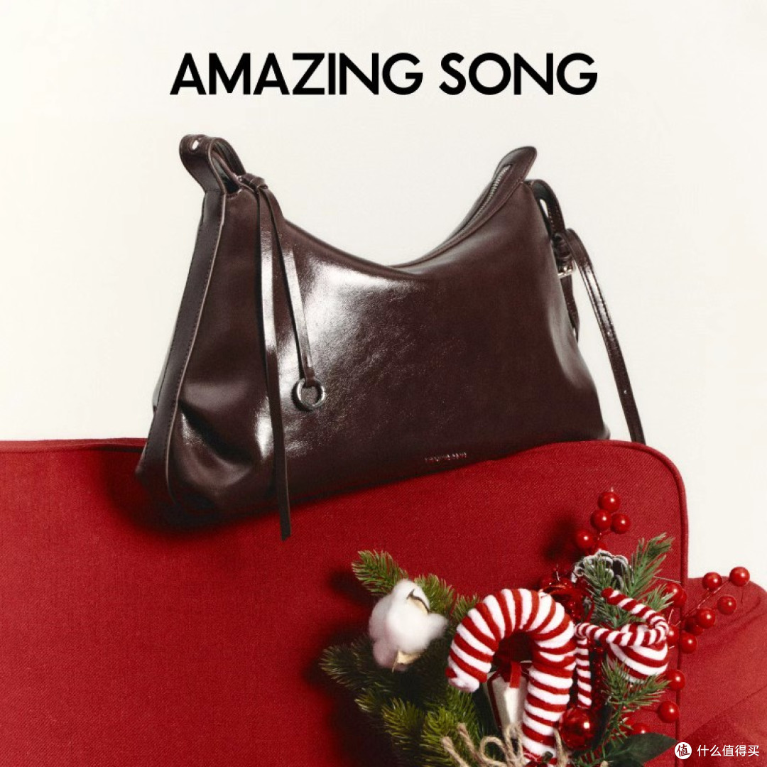 【实测种草】Amazing Song乙颂甜甜圈hobo包 百搭通勤软包