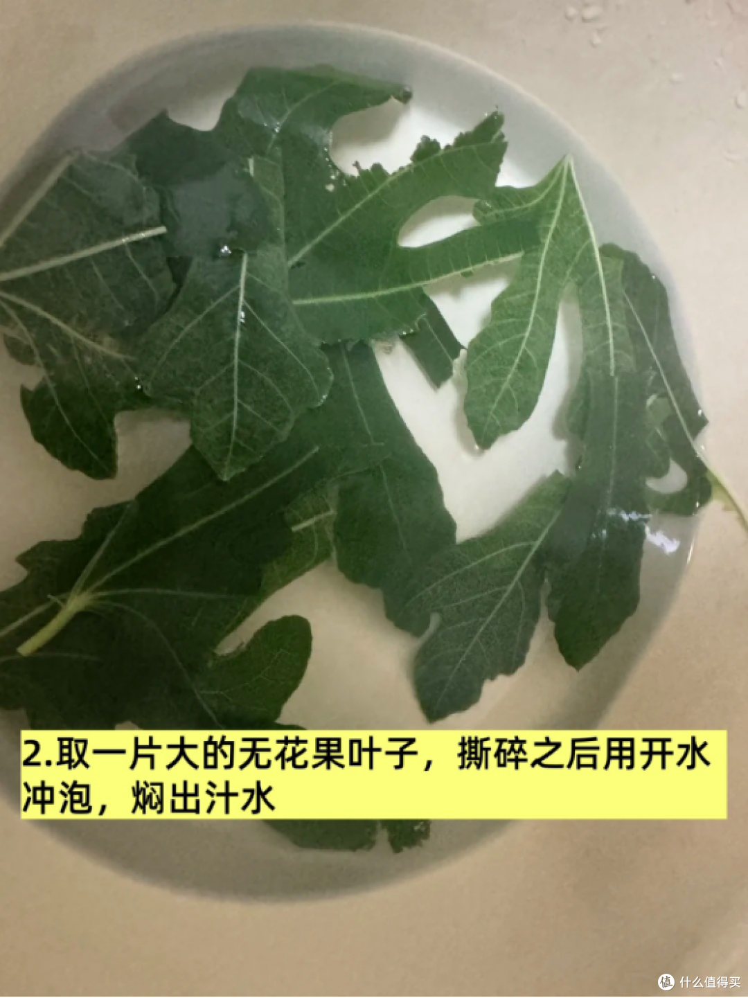 产后痔疮救星!无花果叶子煮水,亲测巨管用!