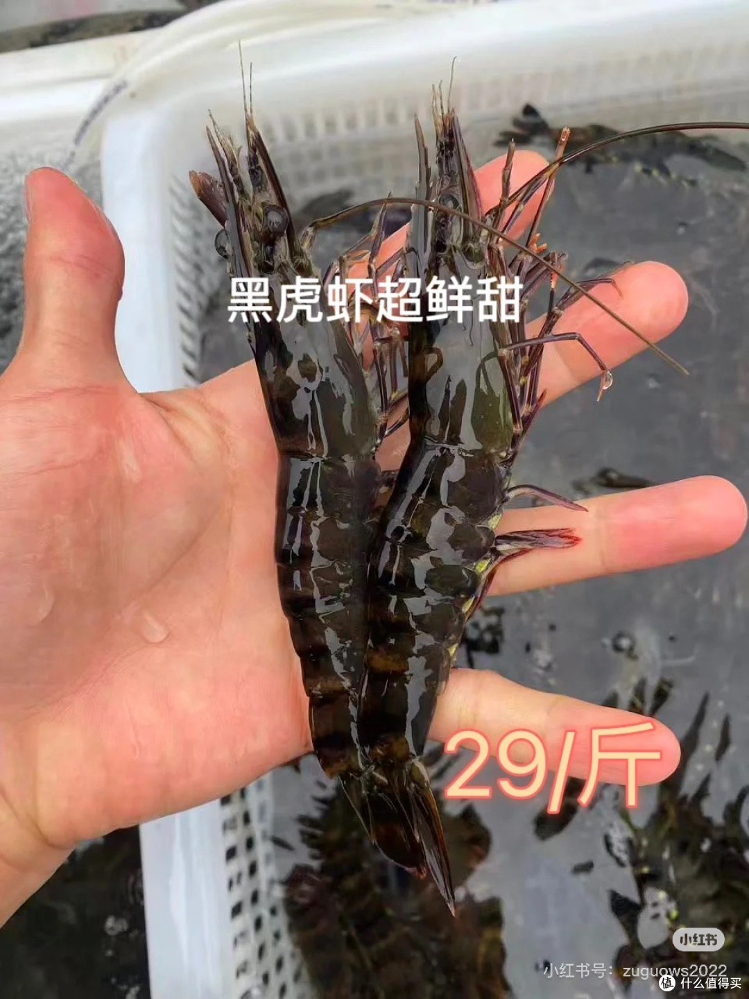 北海生鲜/食品网购避坑!这些细节帮你避坑