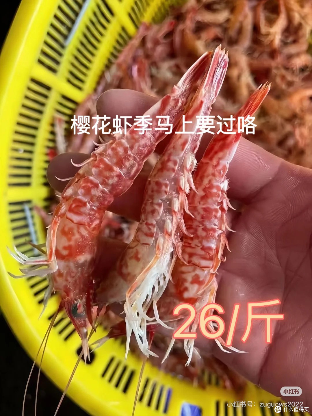 北海生鲜/食品网购避坑!这些细节帮你避坑
