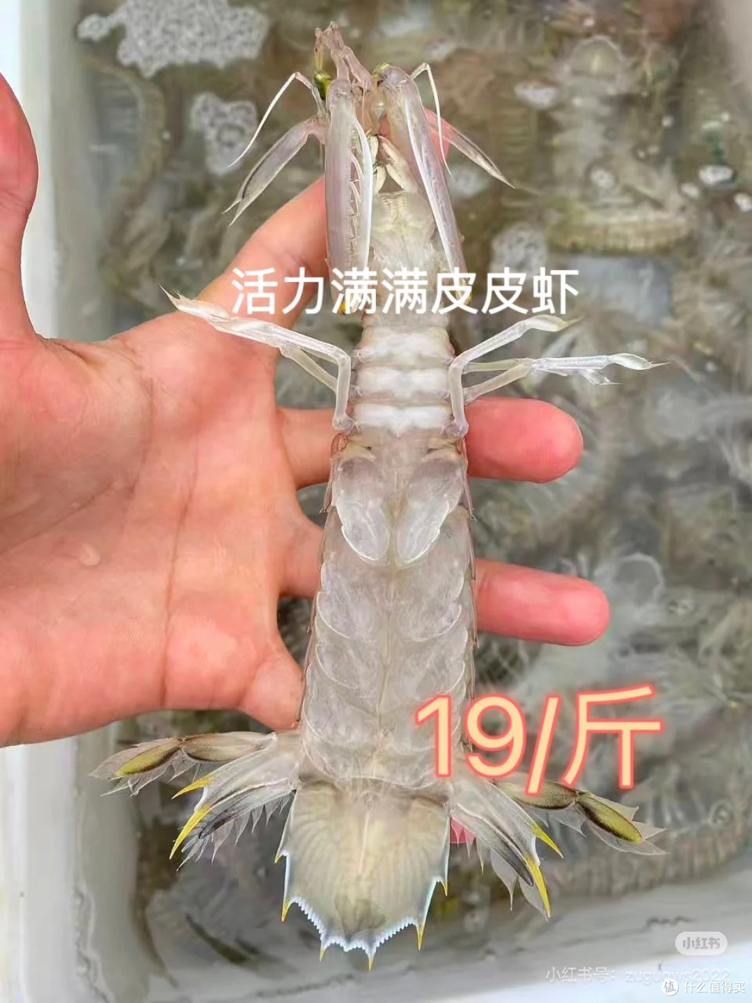 北海生鲜/食品网购避坑!这些细节帮你避坑