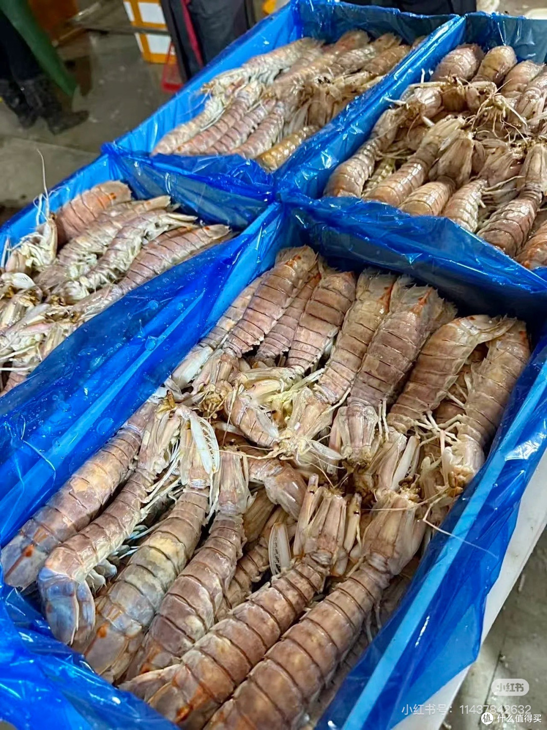 北海生鲜/食品网购避坑!这些细节帮你避坑