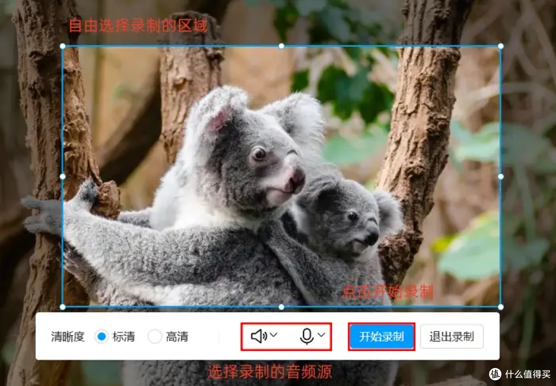 解锁高效使用技巧:7款Win10录屏工具的录制步骤在这里!