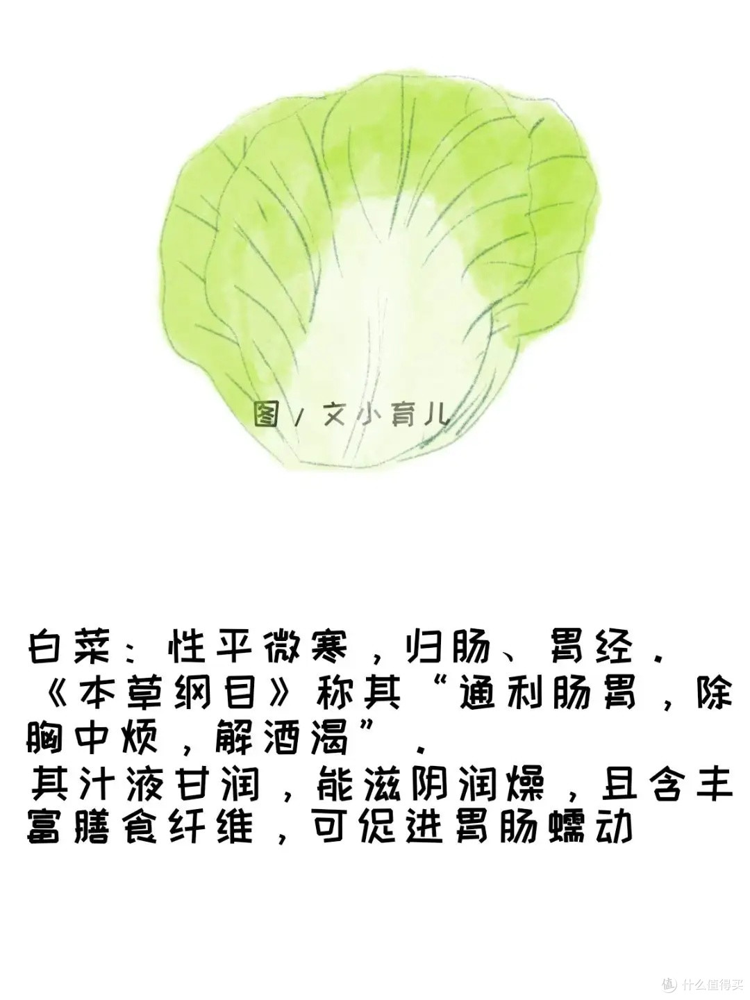 调和脾胃,一味家常菜里的“小儿良方”