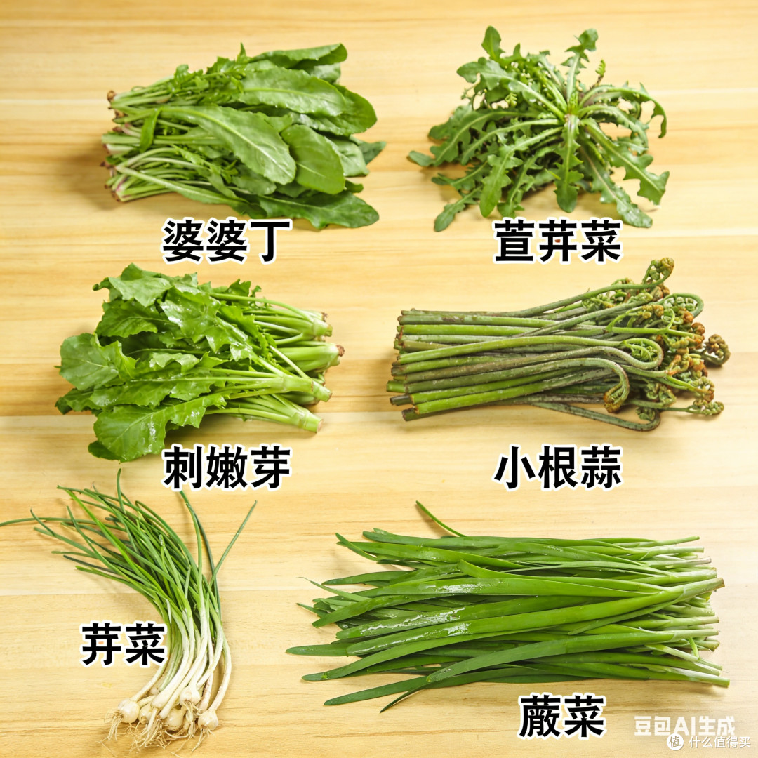 哇！东北春季野菜大集合！