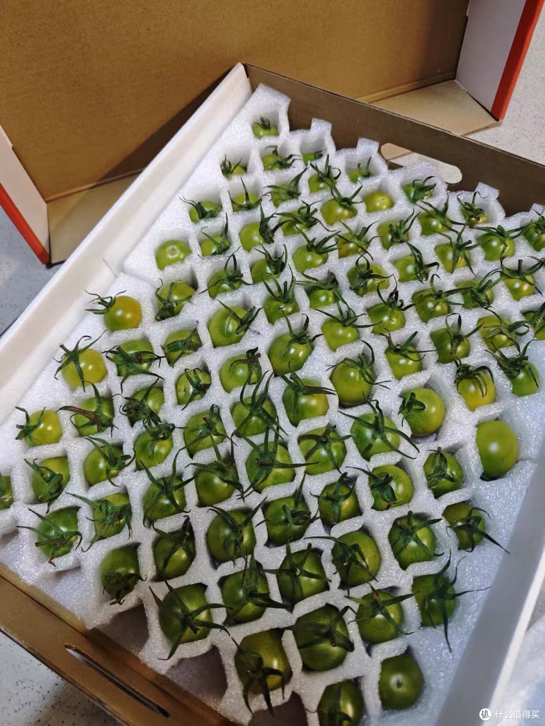 青口蜜小番茄!这抹翡翠绿甜到犯规