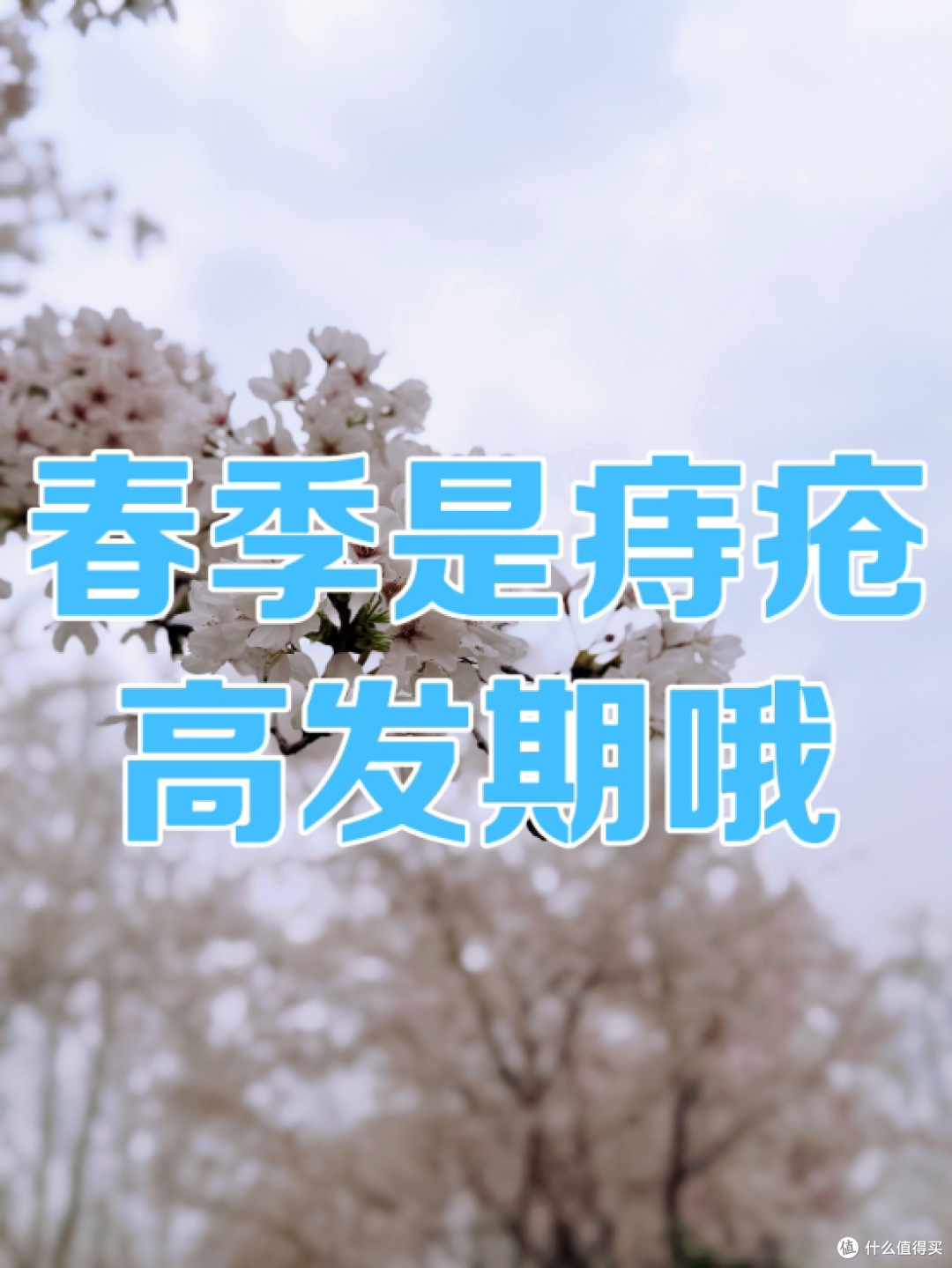 春季真的是痔疮的高发期!