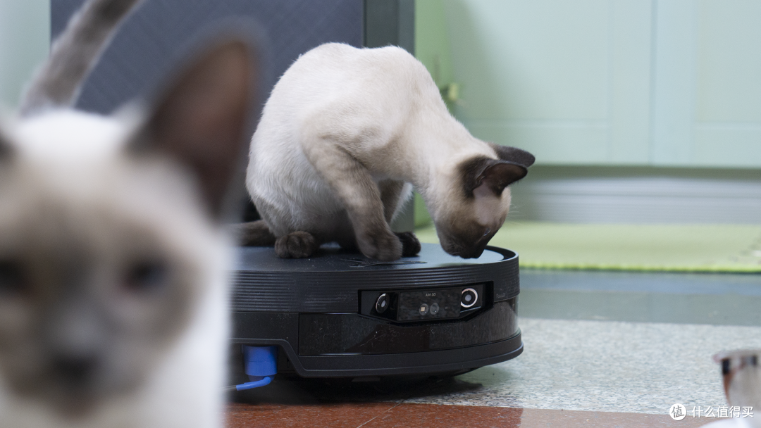 双猫家庭地面灾难现场?科沃斯X12 PRO实测:猫砂、毛发、油污一站式解决!