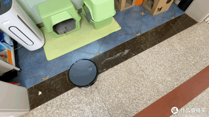 双猫家庭地面灾难现场?科沃斯X12 PRO实测:猫砂、毛发、油污一站式解决!