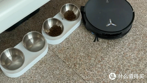 双猫家庭地面灾难现场?科沃斯X12 PRO实测:猫砂、毛发、油污一站式解决!