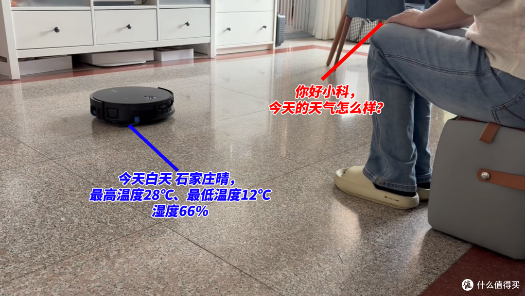 双猫家庭地面灾难现场?科沃斯X12 PRO实测:猫砂、毛发、油污一站式解决!