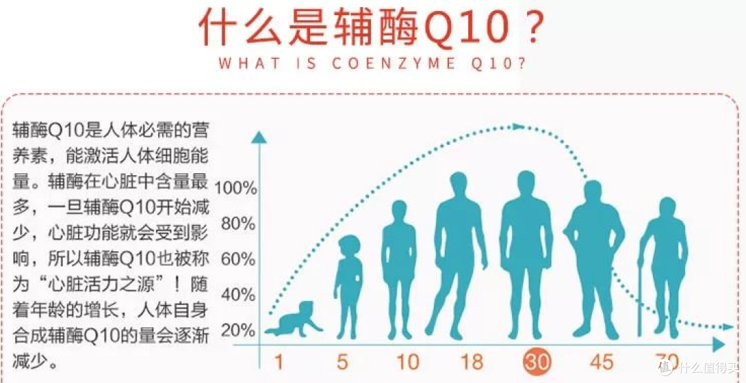 辅酶Q10选购白皮书：辅酶Q10什么时间吃最佳？性价比高的牌子推荐