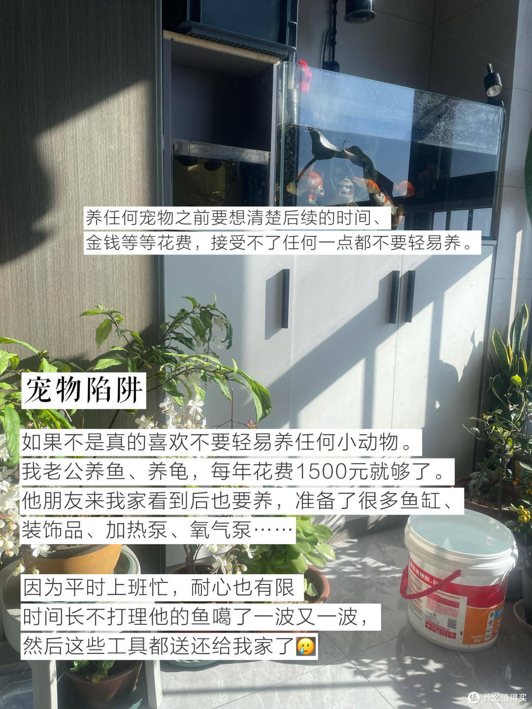 揭秘日常消费陷阱,理性购物避坑