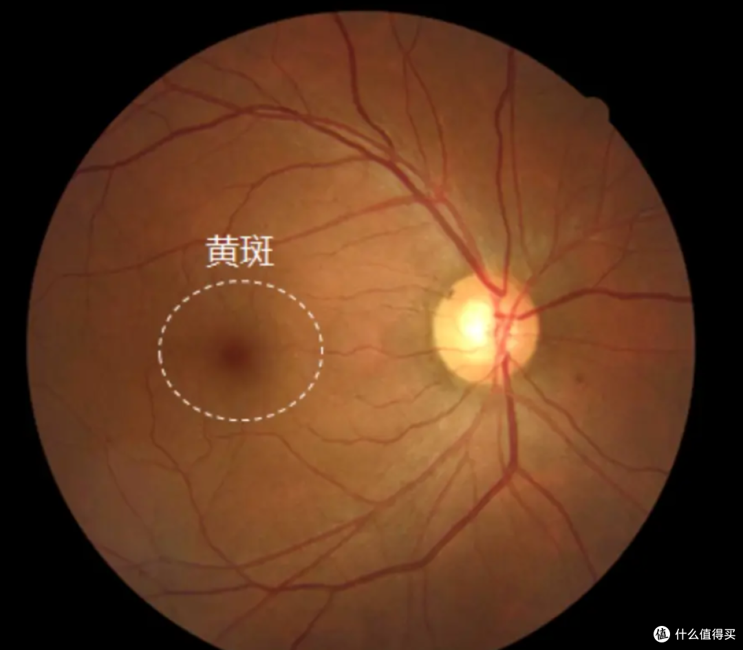省电!父母关灯刷手机等于毁眼,医生:这 3 个习惯正在偷走视力
