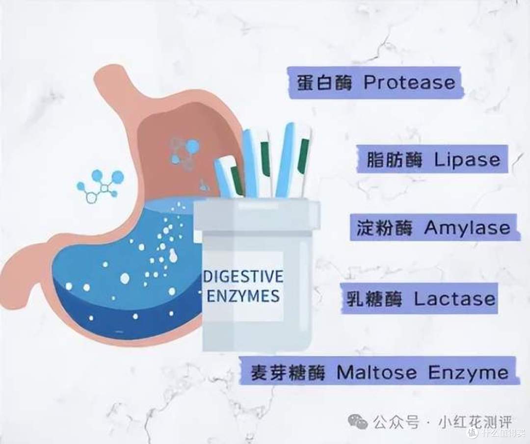 315曝光的消化酶，一无是处吗？竟是「工业添加剂」？