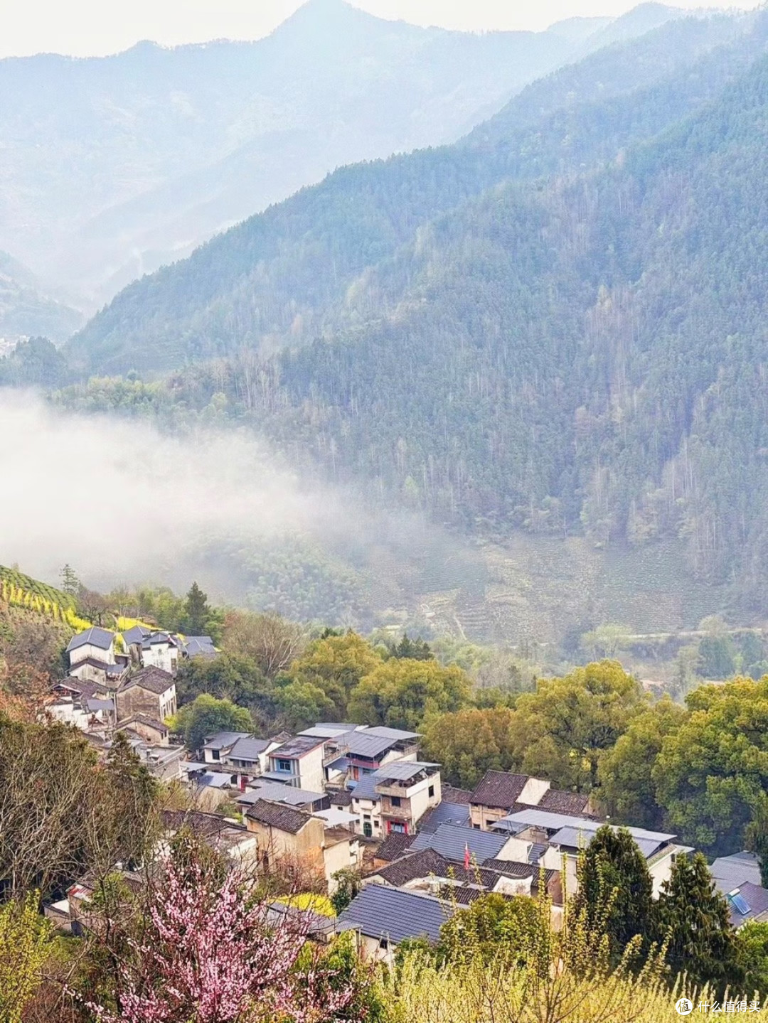 安徽石潭村春日出游终极攻略|云海油菜花秘境深度指南🌼