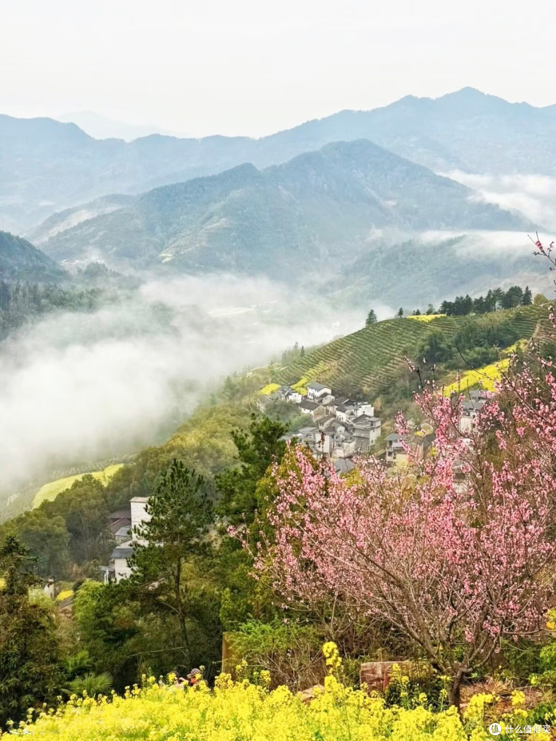 安徽石潭村春日出游终极攻略|云海油菜花秘境深度指南🌼