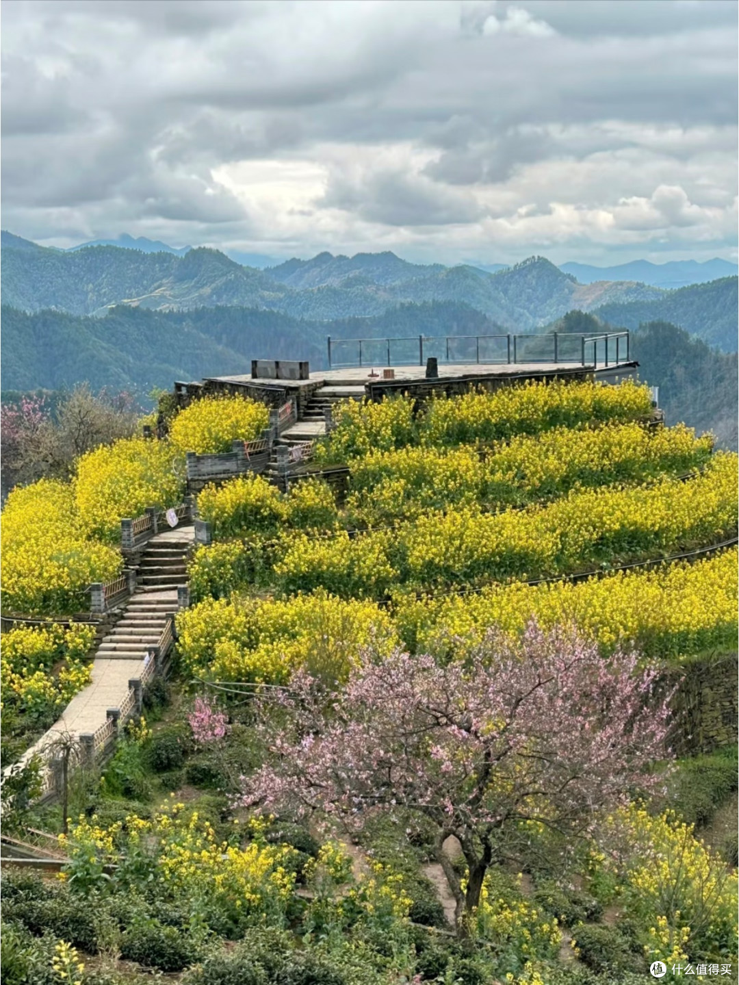 安徽石潭村春日出游终极攻略|云海油菜花秘境深度指南🌼
