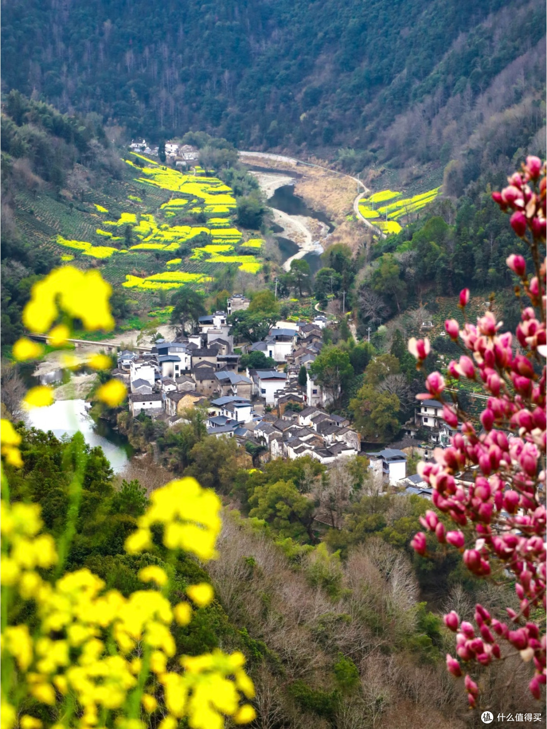 安徽石潭村春日出游终极攻略|云海油菜花秘境深度指南🌼