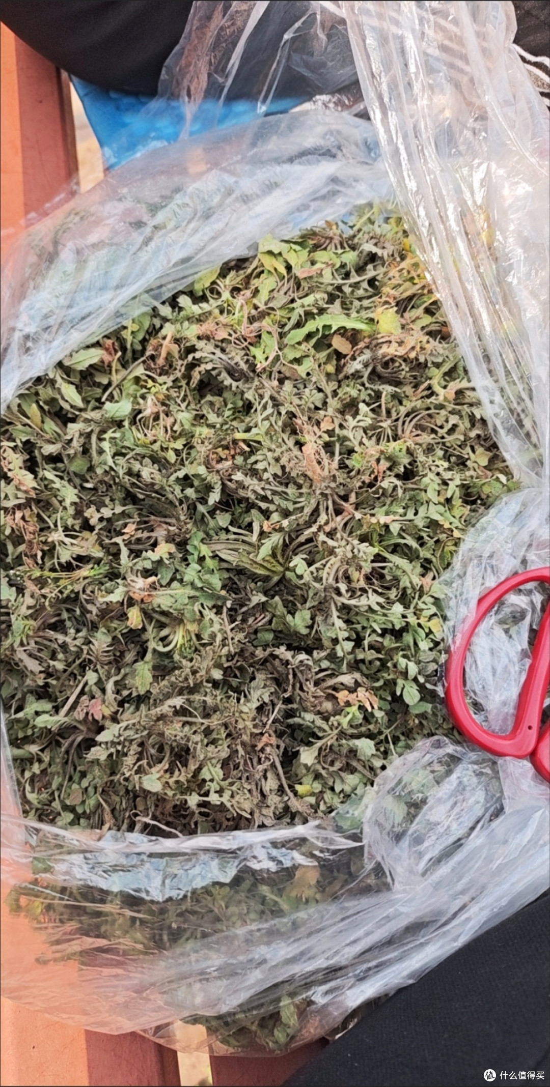 荠菜豆腐羹的汤底选择:清水或高汤
