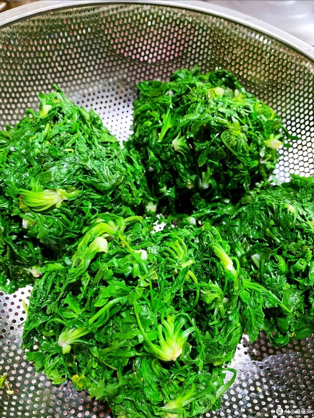 春季限定美食:荠菜猪肉饺