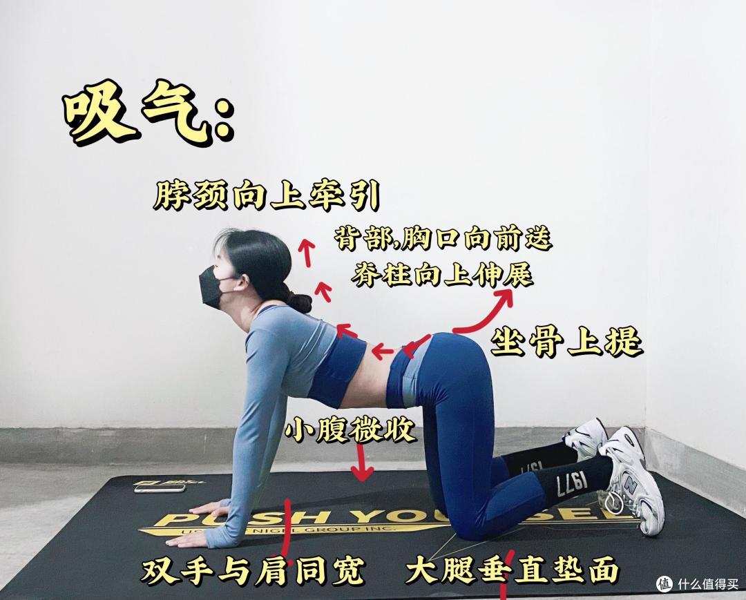在家练核心,最怕腰疼膝盖疼!每天10分钟练这3个“零伤腰”动作
