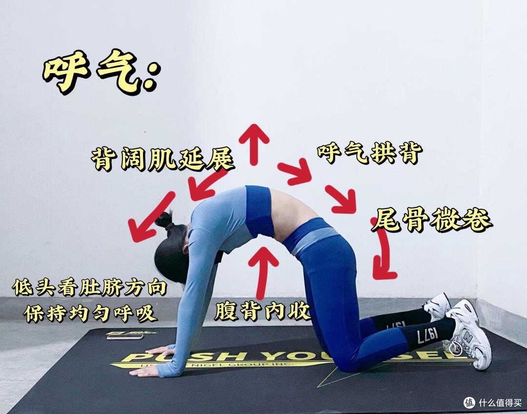 在家练核心,最怕腰疼膝盖疼!每天10分钟练这3个“零伤腰”动作