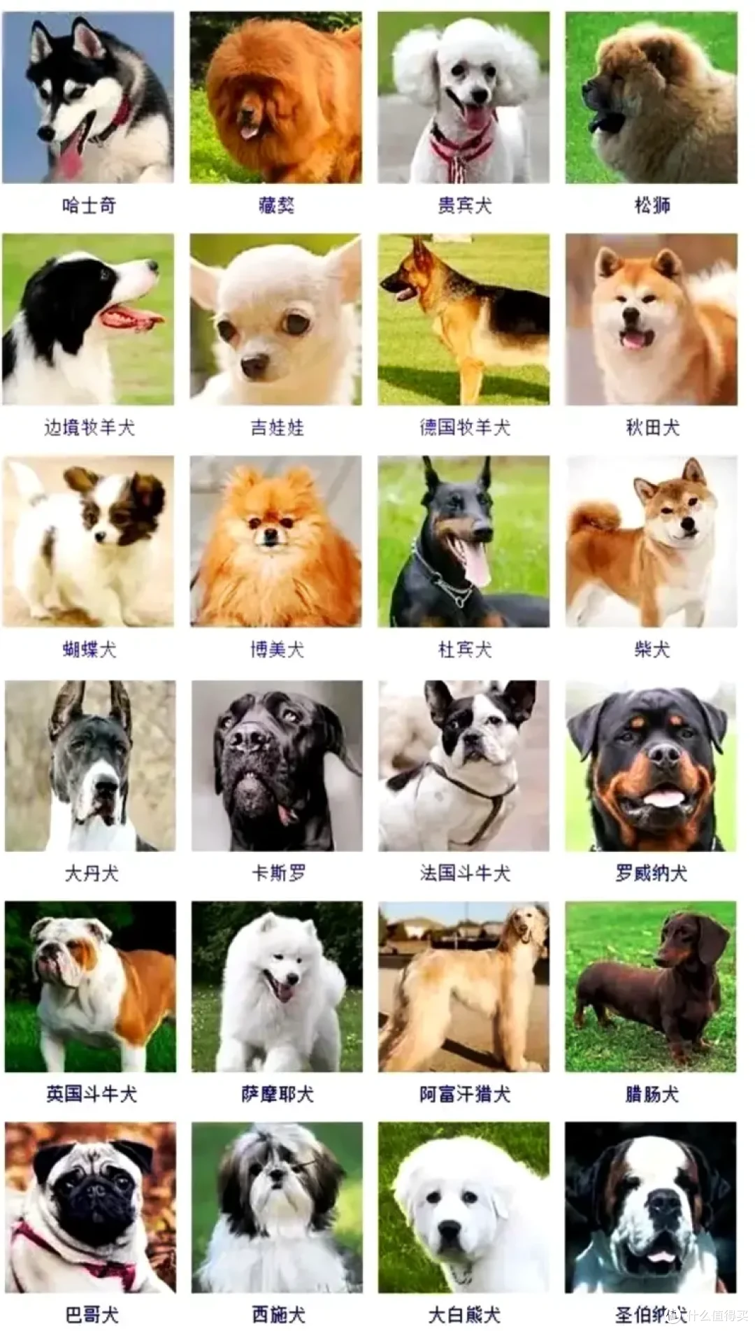 狼和狗究竟有没有生殖隔离?为什么? 狼和狗究为什么至今还没有发生生殖隔离?