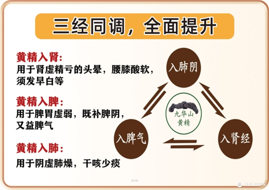 为何汕世堂九华山黄精能成为行家私藏的滋补首选?