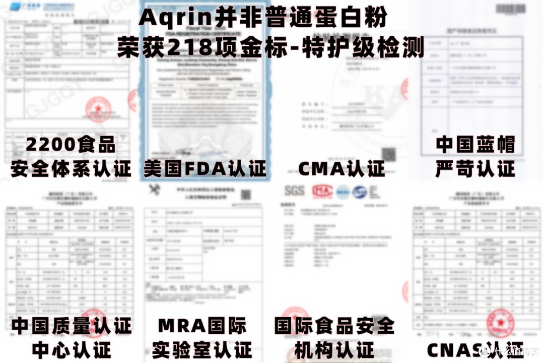 免疫强的蛋白粉哪个品牌好?2026年3月蛋白粉十大排名精选实测